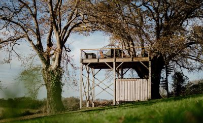 La Bulle au sommet du Chêne