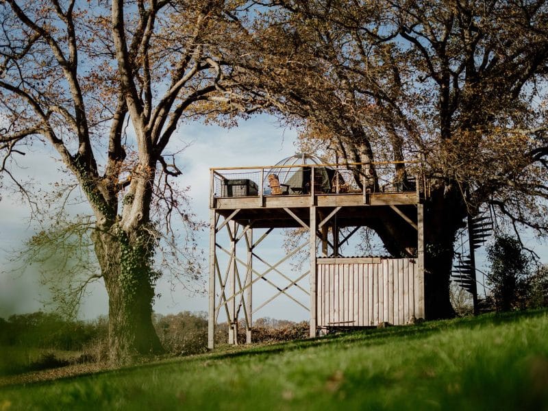 Cabane perchée dans les arbres, avec terrasse en bois et vue dégagée sur la nature.