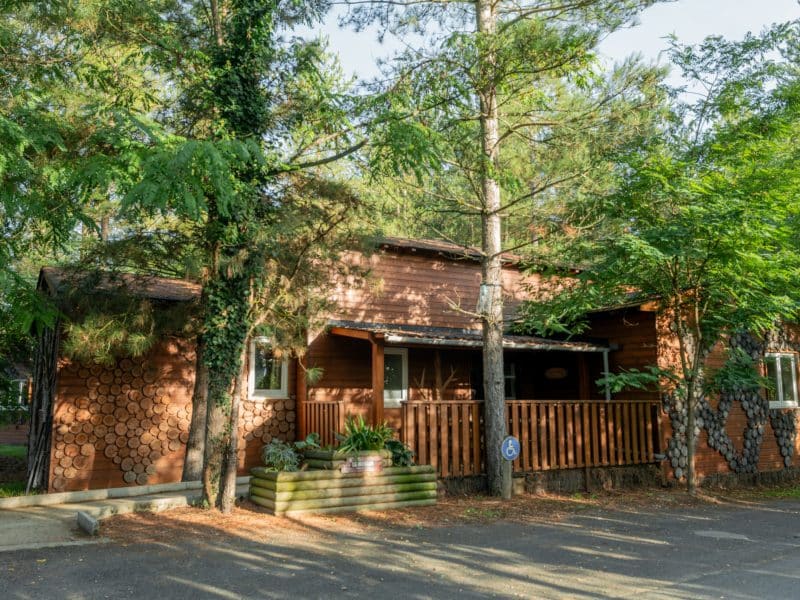 Cabane en bois à Nouvelle-Aquitaine, entourée darbres verdoyants et paisibles.
