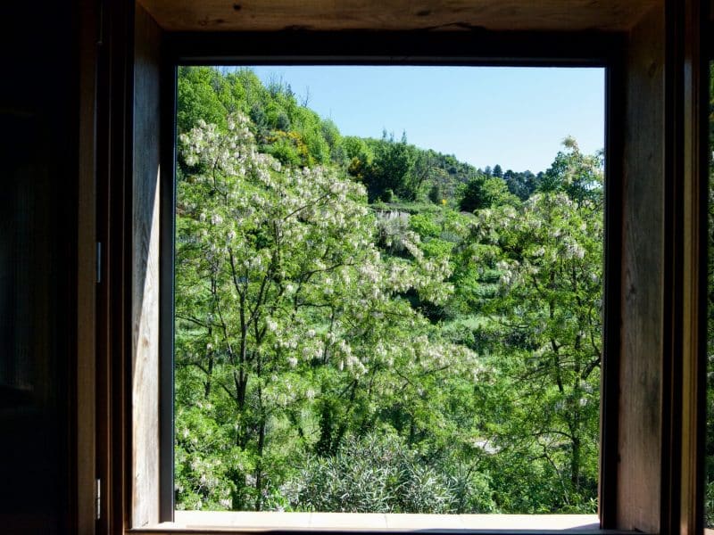 Vue depuis une chambre dhôtes, cadre verdoyant et lumineux à lextérieur.