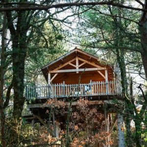 VCN01707-Enhanced-NR