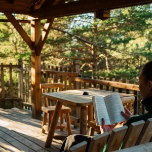 VCN01831-Enhanced-NR