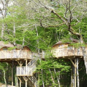 Cabane perchée en bois dans les arbres, entourée de verdure luxuriante.