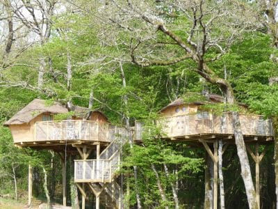 Cabane perchée en bois dans les arbres, entourée de verdure luxuriante.