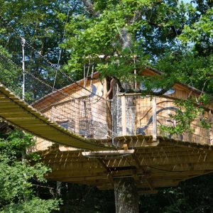 Cabane dans les arbres en Nouvelle-Aquitaine, perchée au milieu des feuillages verdoyants.