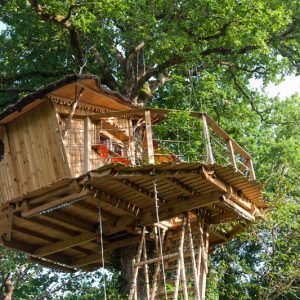 Cabane dans les arbres en Nouvelle-Aquitaine, perchée au cœur dun feuillage verdoyant.