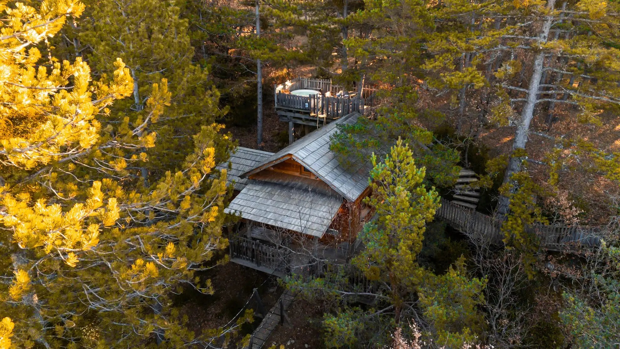 dji_fly_20260107_102328_0410_1767812357249_photo Cabane en bois perchée dans les arbres, entourée de pins dorés en Provence-Alpes-Côte dAzur.