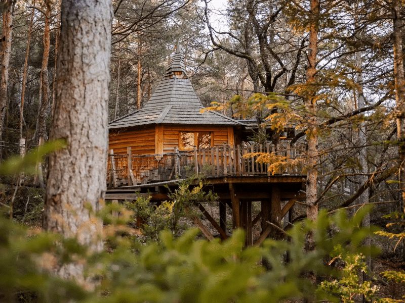 Cabane en bois perchée, entourée darbres, avec un toit en ardoise.