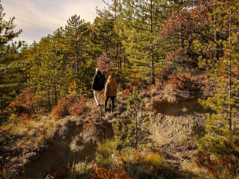 Couple se promenant dans la nature, hébergement en chalet entouré de forêts colorées.