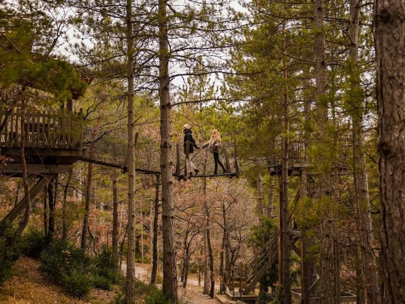 Cabane dans les arbres, suspendue entre les pins, offrant une vue imprenable sur la forêt.