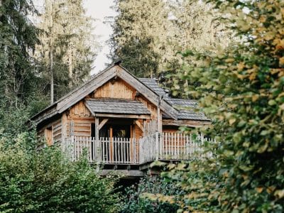 Cabane en bois perchée, entourée de verdure, idéale pour un séjour nature en Auvergne.