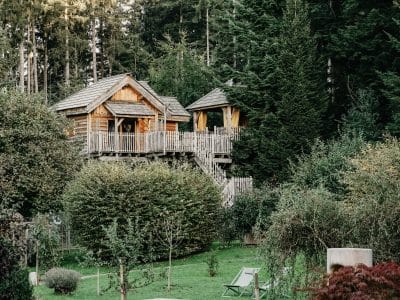 Cabane perchée en bois entourée de verdure, idéale pour un séjour nature en Auvergne.