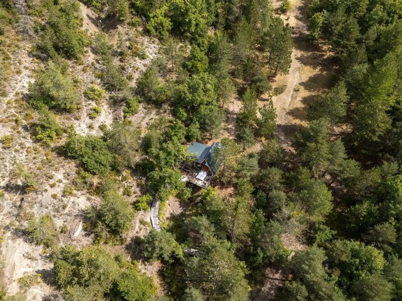 Cabane en bois nichée au cœur dune forêt verdoyante, entourée darbres.