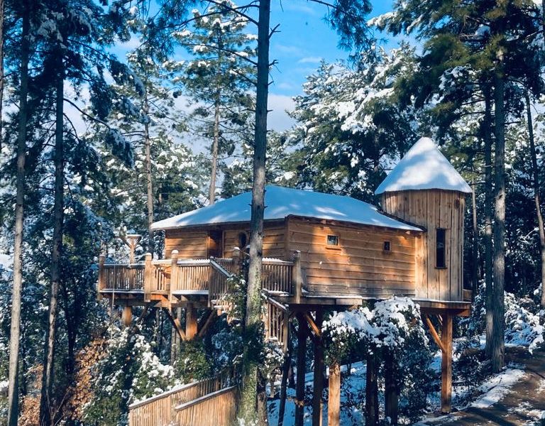 Cabane dans les arbres entourée de neige, perchée au milieu des sapins.