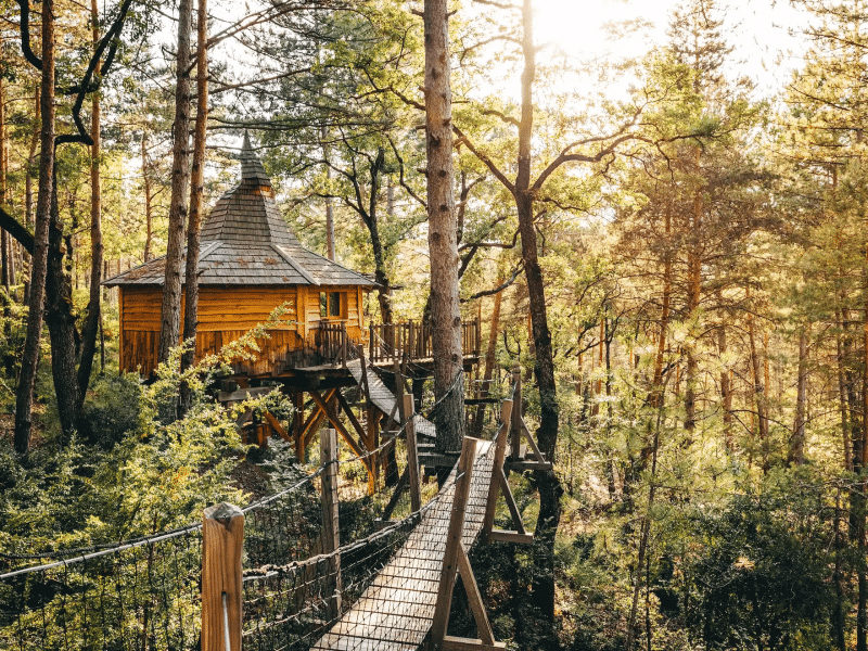 Cabane perchée en bois dans les arbres, entourée dune forêt verdoyante.