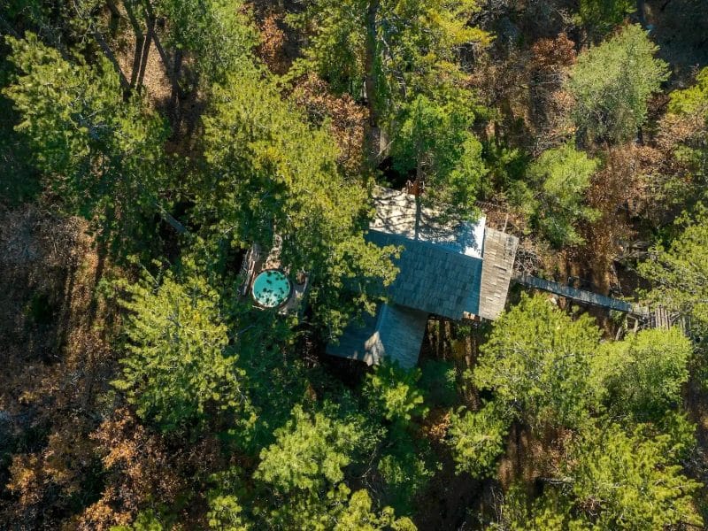 Cabane perchée dans les arbres, entourée dune forêt verdoyante et paisible.