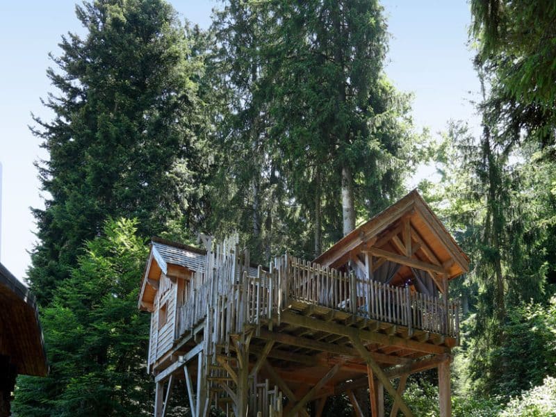 Cabane perchée en bois, entourée de grands arbres, offrant une vue imprenable.