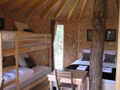 Cabane en bois avec lit superposé et un arbre traversant le plafond. Ambiance cosy.