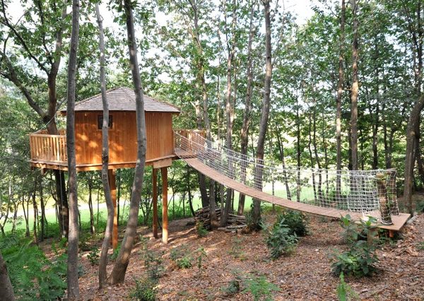 Cabane dans les arbres avec une passerelle en filet, entourée de verdure.