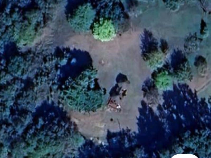 Hébergement en pleine nature avec un espace vert et des arbres environnants.