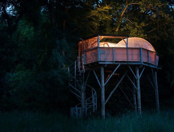 Cabane perchée dans les arbres, éclairée, entourée de verdure nocturne.
