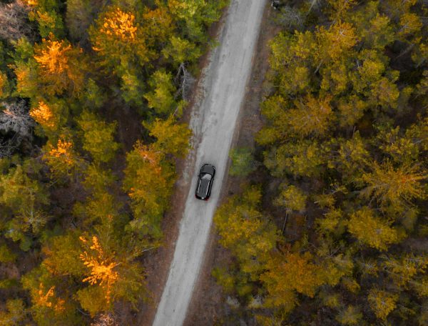 dji_fly_20260107_135734_0469_1767811620845_photo