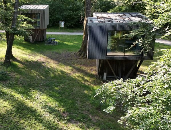 Cabines modernes sur pilotis, entourées de verdure et de lumière naturelle.