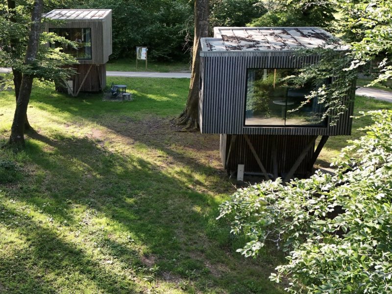 Cabines modernes sur pilotis, entourées de verdure et de lumière naturelle.