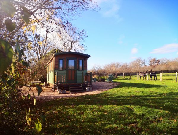 Charmante roulotte en bois, entourée de verdure et de chevaux paisibles.
