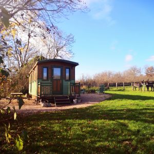 Roulotte en bois à Bourgogne, entourée de verdure et de chevaux.