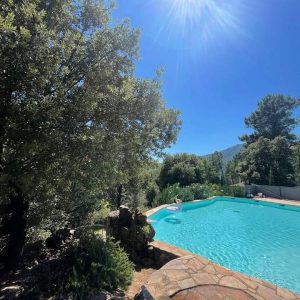 facebook_1692461544004_7098698223862676776