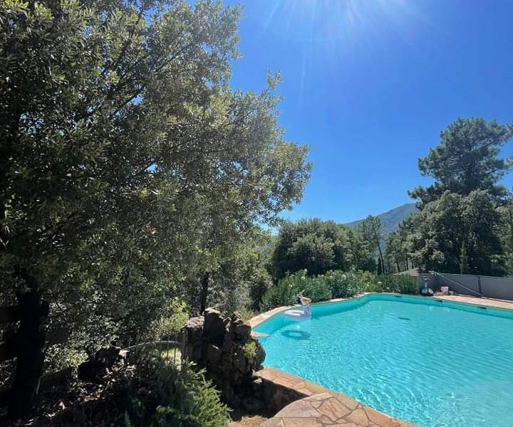 Villa avec piscine, entourée de verdure et baignée de lumière sous un ciel bleu.