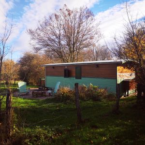 Chalet en bois entouré de verdure, avec chaises extérieures et feu de camp.