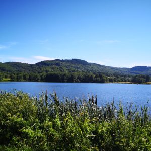Hébergement insolite en Bourgogne, avec vue sur un lac entouré de verdure.
