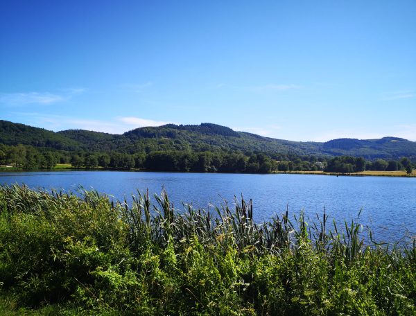 Chalet au bord dun lac, entouré de verdure et de collines verdoyantes.