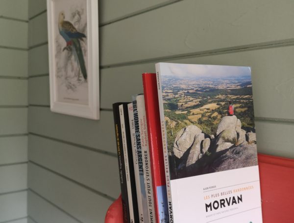 Chalet cosy avec étagère, livres sur le Morvan et une touche de nature.