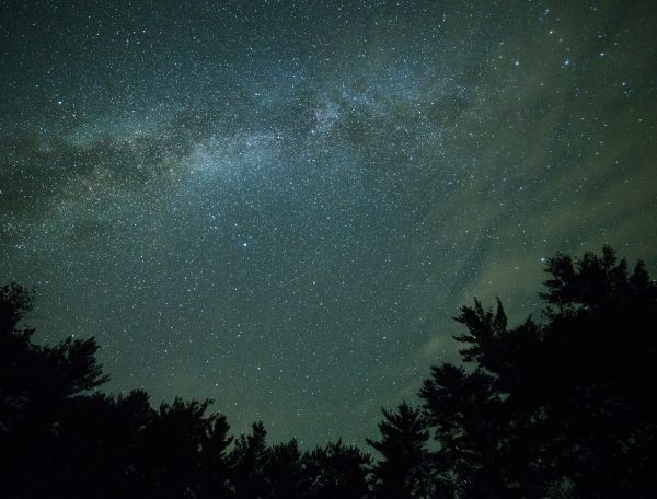 Ciel étoilé au-dessus dun chalet en bois, entouré de sapins majestueux.