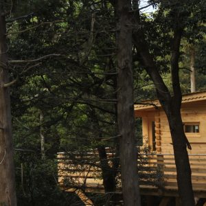 1 LesCabanesdanslesBois Carcassonne insolite Fuste (12)