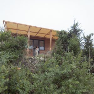 Cabane en bois perchée, entourée de verdure, avec une terrasse accueillante.