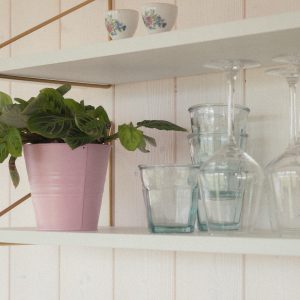 Élégant hébergement avec étagères décoratives et plantes vertes apaisantes.