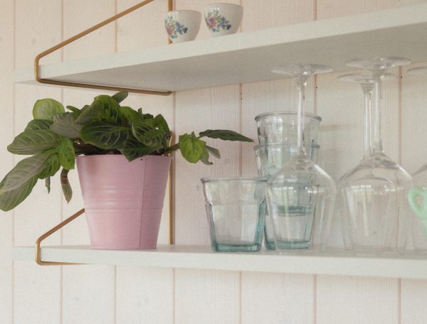 Élégant hébergement avec étagères décoratives et plantes vertes apaisantes.