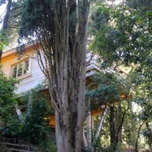 2 LesCabanesdanslesBois Carcassonne insolite Mazet (1)