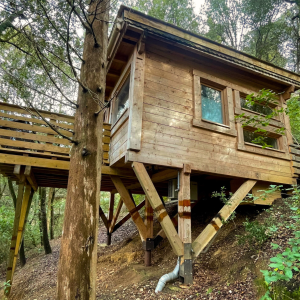 2 LesCabanesdanslesBois Carcassonne insolite Mazet (1)