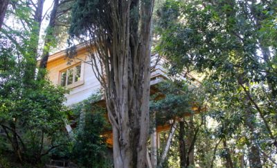 Cabane Mazet – Les Cabanes dans les Bois