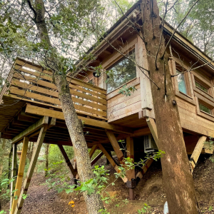 2 LesCabanesdanslesBois Carcassonne insolite Mazet (2)