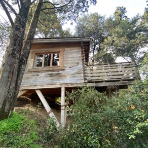 2 LesCabanesdanslesBois Carcassonne insolite Mazet (26)