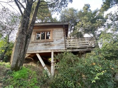 Cabane perchée en bois, entourée de verdure, offrant une vue apaisante.