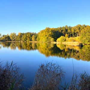 2025.10.17 Lac automne 1