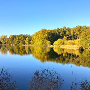 2025.10.17 Lac automne 1b