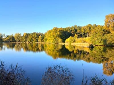 Hébergement insolite en Auvergne, au bord dun lac paisible entouré de verdure.